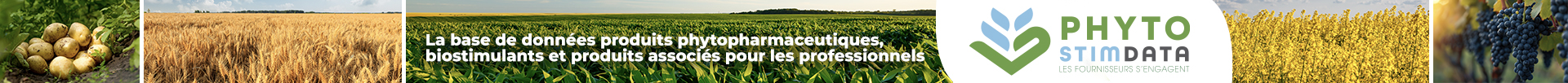 Bannire responsive